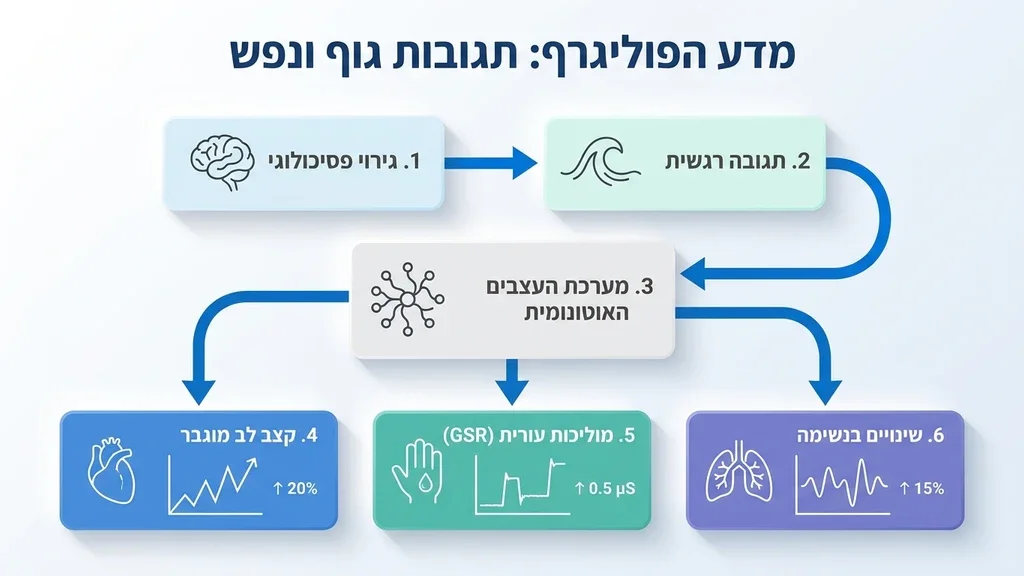 מכשיר פוליגרף ממוחשב מתקדם המציג תרשימים